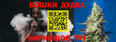 крисы Гатчина