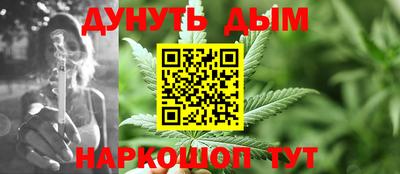 крисы Гатчина